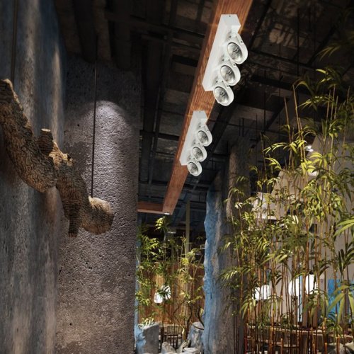 Светильник спот Novotech Snail 357562