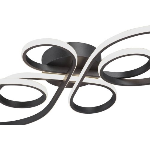 Потолочная люстра Vitaluce V3775-1/2PL