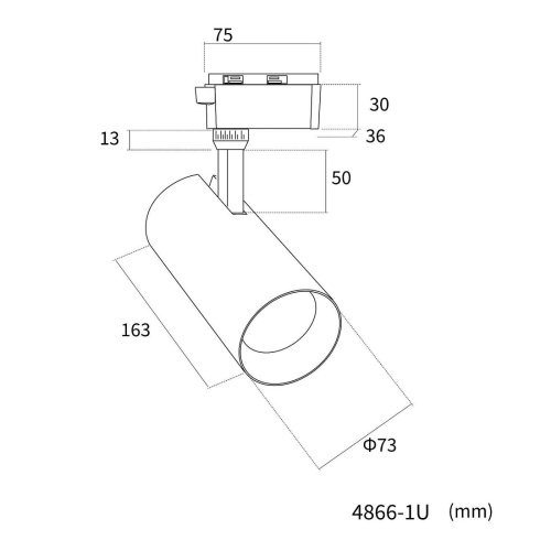 Трековый светильник Favourite Practica 4866-1U