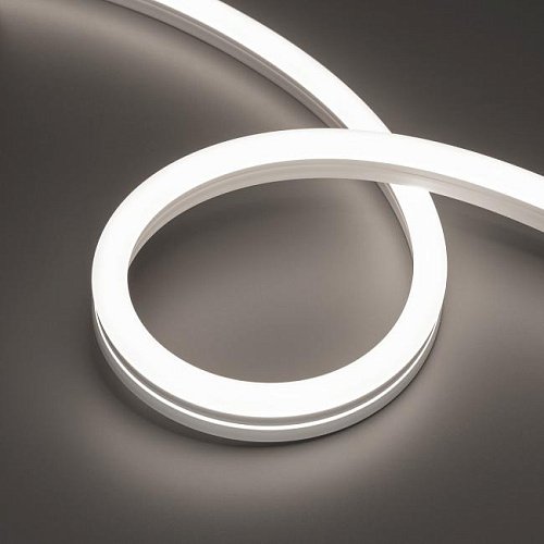 Светодиодный шнур Arlight Moonlight 042800