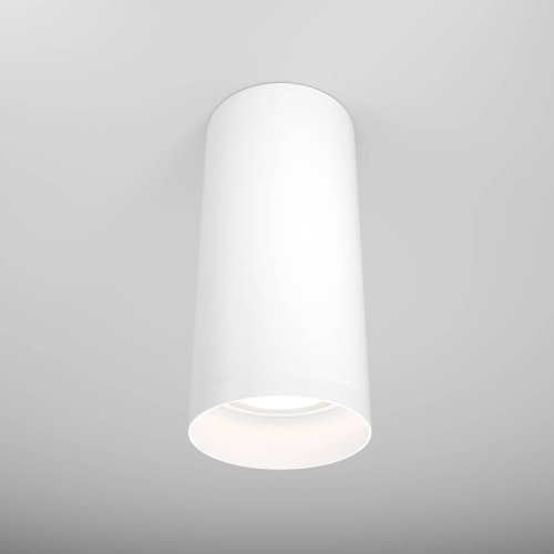 Накладной светильник Maytoni Alfa C010CL-01W
