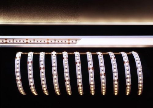 LED лента Deko-Light 840291