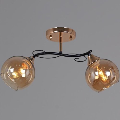 Потолочная люстра 06073-0.3-02 FG+BK