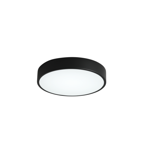 Светильник потолочный Zortes Tortty ZRS.02563.48