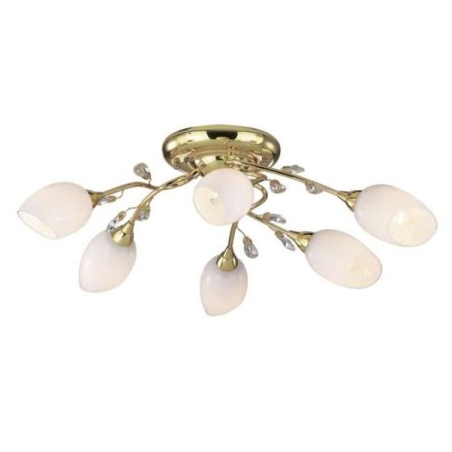 Потолочная люстра Odeon Light Fiera 1604/6