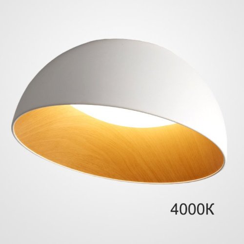 223998-23 Светильник потолочный ImperiumLoft Bara01 223998-23
