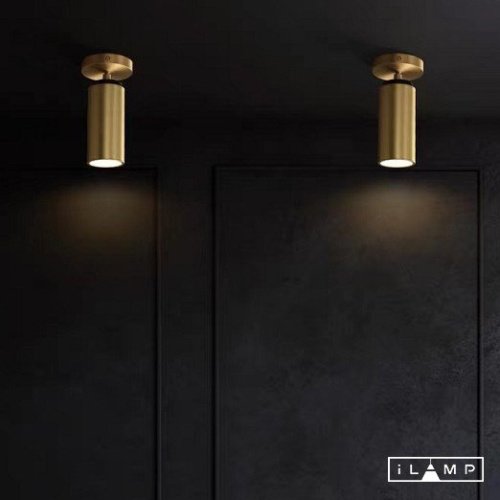 Светильник спот iLamp Plum 8861C BR-BK