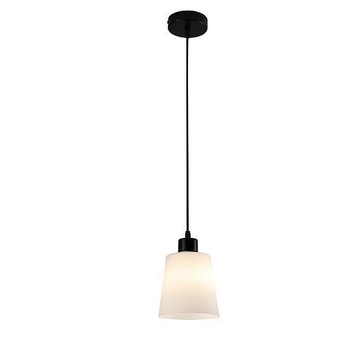 Светильник подвесной Escada Clarity 120004/1P E27*60W Black ES0000041