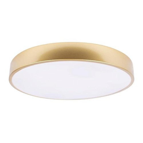 10228/A Светильник потолочный Loft It Flims 10228/A