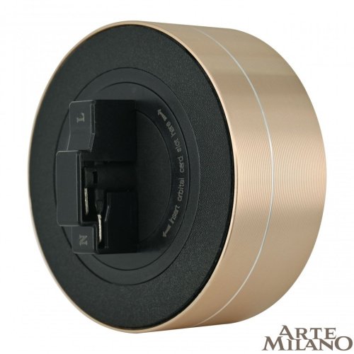 Трековый светильник Arte Milano Am-track-sockets 380011TLS/LWS Gold