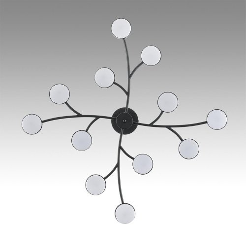 Потолочная люстра Lumion Torina 8117/12