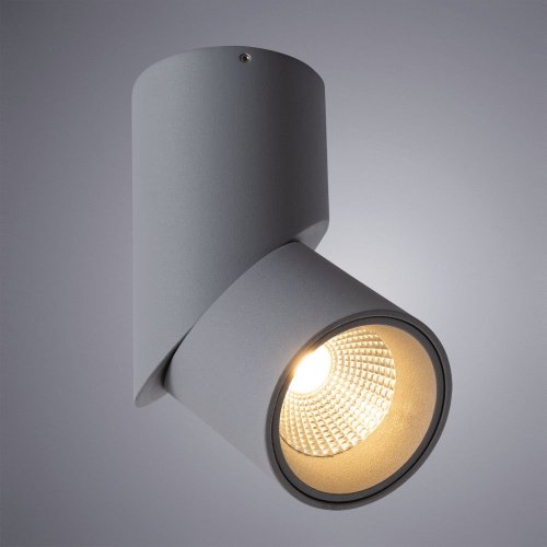 Накладной светильник Arte Lamp Orione A7717PL-1GY