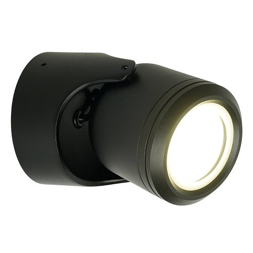 Уличный настенный светильник Feron Техно 51739