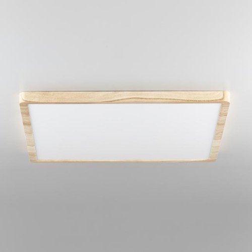 Светильник потолочный Citilux Бейсик CL738K502V