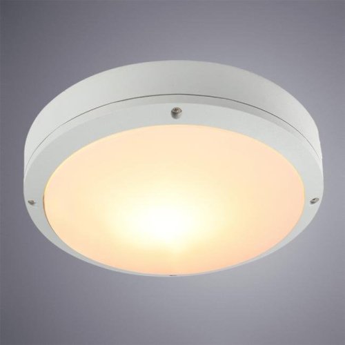 A8154PF-2WH Уличные потолочные Arte Lamp City A8154PF-2WH