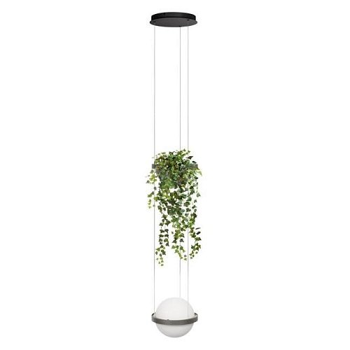 10121/1P Dark grey Светильник подвесной Loft It Jardin 10121/1P Dark grey