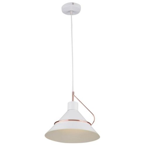 Светильник подвесной Freya Amis FR5025PL-01W