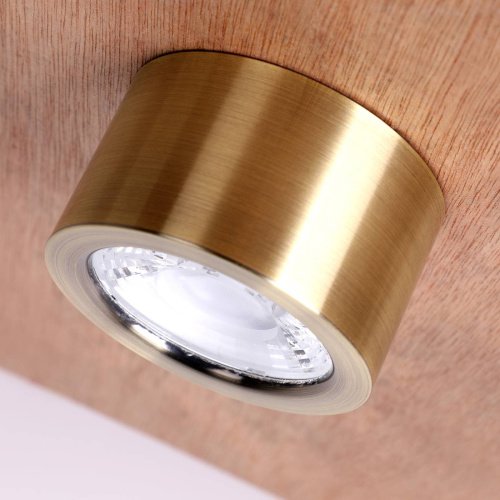 Накладной светильник Favourite Deorsum 2806-1U