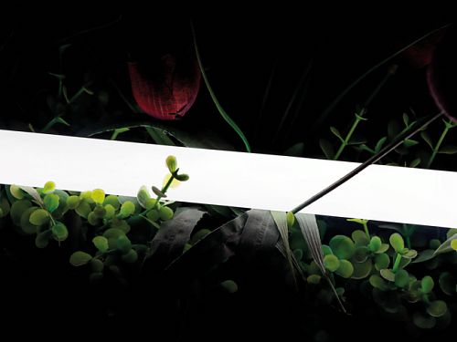 Гибкая LED лента SWG PRO 00-00013283