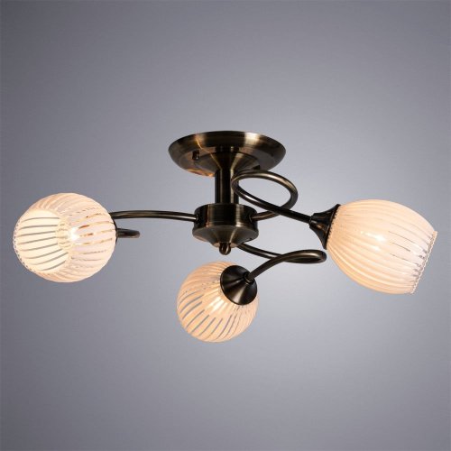 A2941PL-3AB Потолочная люстра Arte Lamp Arya A2941PL-3AB