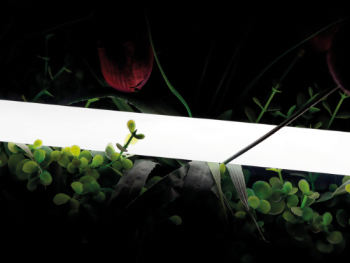 00-00013283 Гибкая LED лента SWG PRO 00-00013283