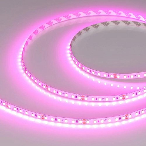 Светодиодная лента Arlight Rt Открытая 043381