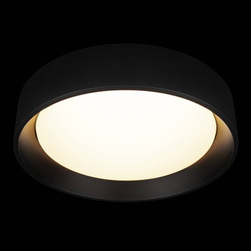 Светильник потолочный Loft It Coin 10202 BB