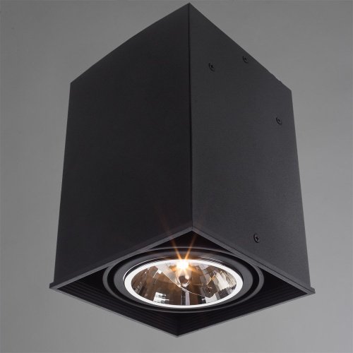 Светильник потолочный Arte Lamp A5936PL-1BK