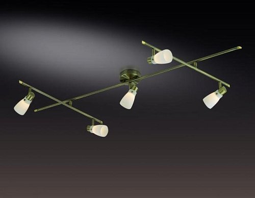 2065/5C Светильник спот Odeon Light TERZA 2065/5C