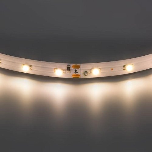 LED лента Lightstar Lenta 400002