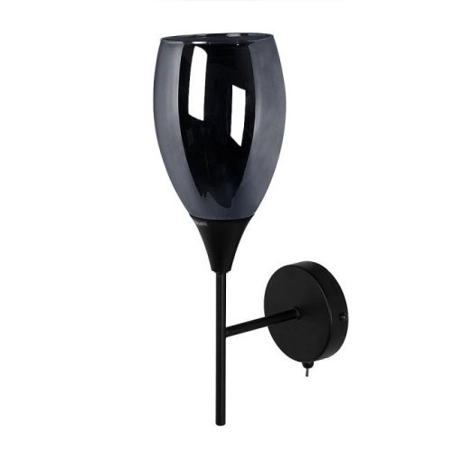 A7951AP-1BK Настенное бра Arte Lamp Barry A7951AP-1BK
