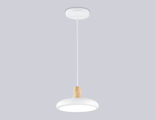 Светильник подвесной Ambrella LineTech FL4838