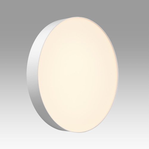 Настенно потолочный светильник Sonex Optima 7779/ELN