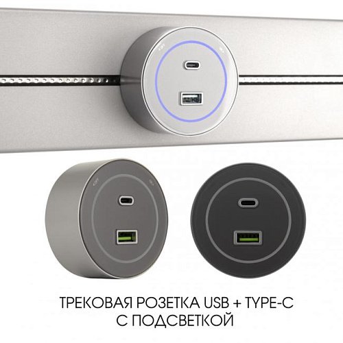 Трековая розетка Arte Milano Am-track-sockets-39 399732TS/USB-Type-C Silver