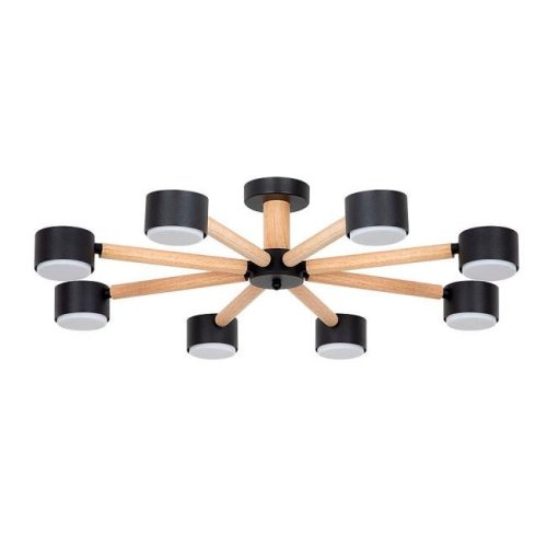 Потолочная люстра Arte Lamp Tenda A1624PL-8BK