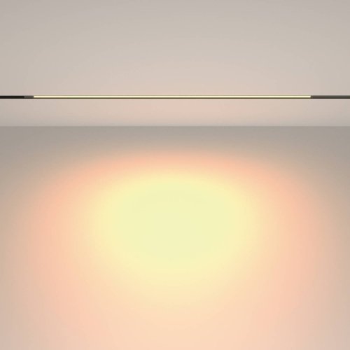 Трековый светильник Maytoni Basis TR231-2-15W3K-B