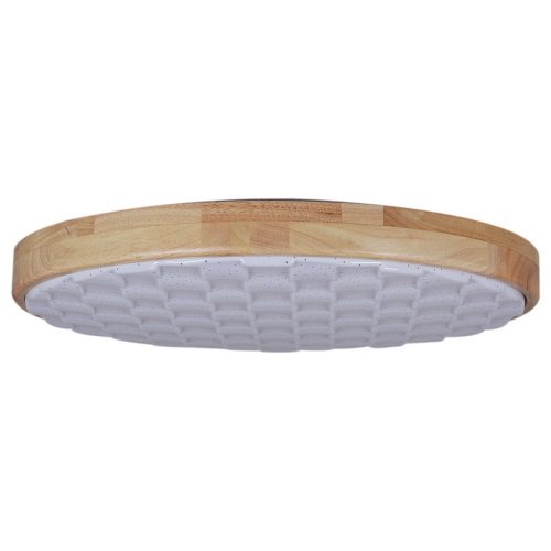 Потолочный светильник Reluce 60530-0.2-60W