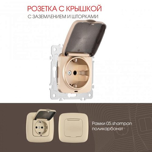 205.41-1.shampan Розетка Arte Milano Am-205 205.41-1.shampan