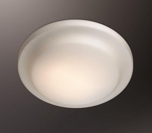 2760/2C Настенно потолочный светильник Odeon Light Tavoty 2760/2C