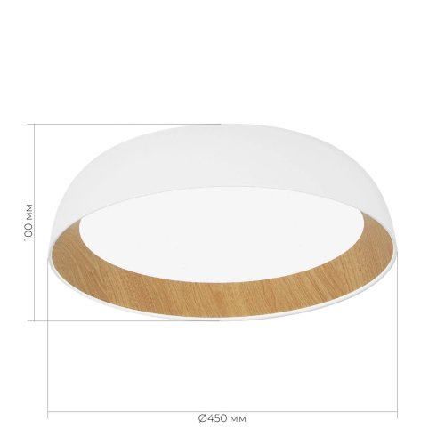 Потолочный светильник Мьюзе Evoluce SLE1812-502-01