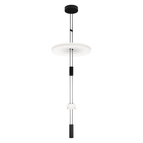 10598C Подвесной светильник Flamingo Loft It 10598C