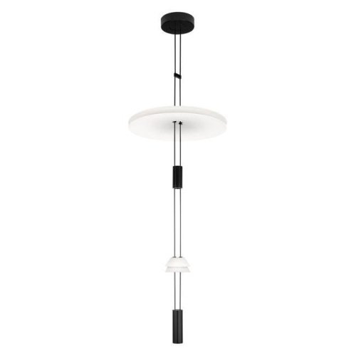 10598C Подвесной светильник Flamingo Loft It 10598C
