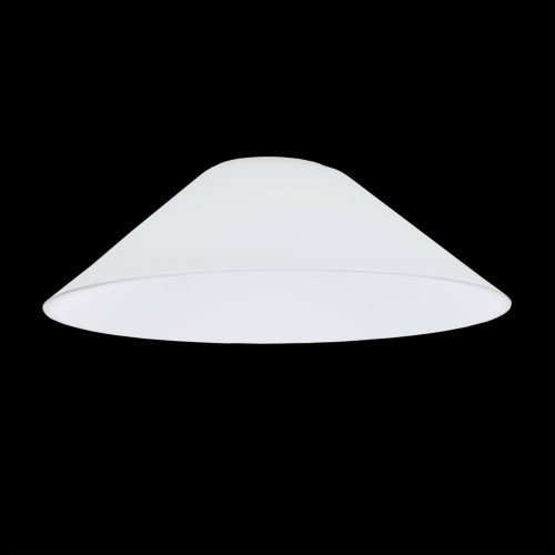 Citilux Эдисон CL450.12