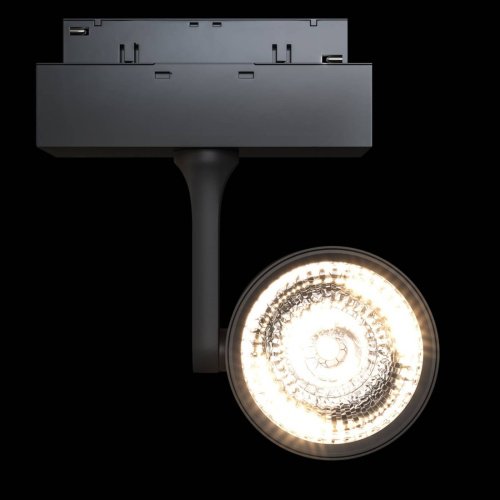 TR024-2-10B3K Трековый светильник Maytoni Track Lamps TR024-2-10B3K