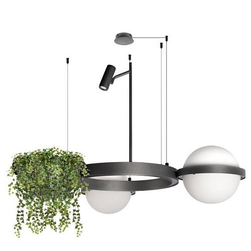 Подвесная люстра Loft It Jardin 10121/2 Dark grey