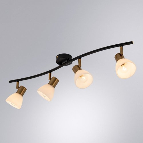 A3117PL-4BK Светильник спот Arte Lamp Falena A3117PL-4BK