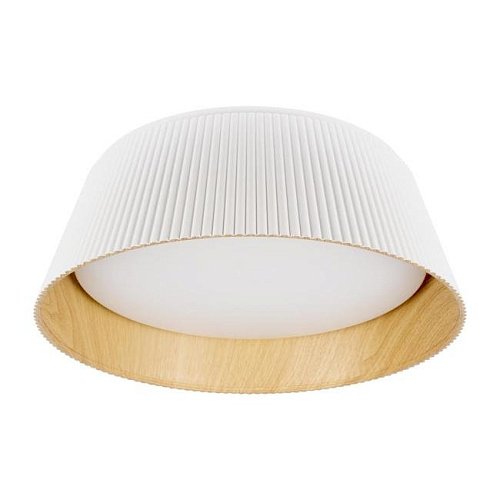 10224 White Светильник потолочный Loft It Evans 10224 White