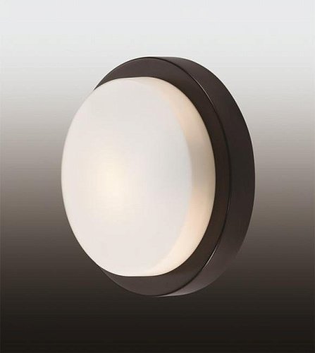 2744/1C Настенно потолочный светильник Odeon Light Holger 2744/1C