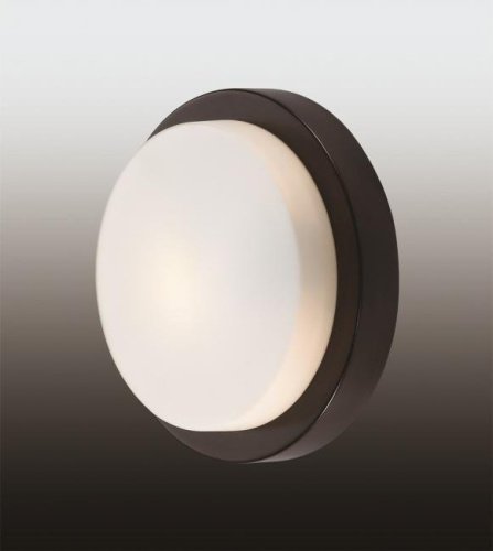 Настенно потолочный светильник Odeon Light Holger 2744/1C