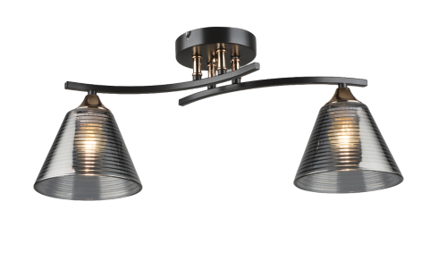 Потолочная люстра Мелодия Света 000065848